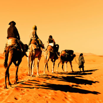 Camel caravan going through the sand dunes in the Sahara Desert, Morocco.