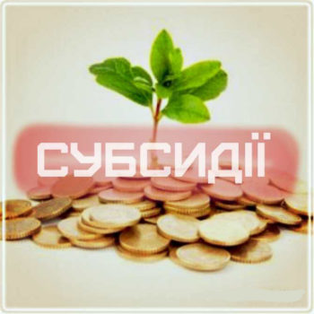 subsidiyi-koruptsiya-info12