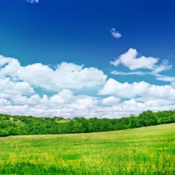 www.GetBg.net_Nature___Fields_Beautiful_nature_076025_