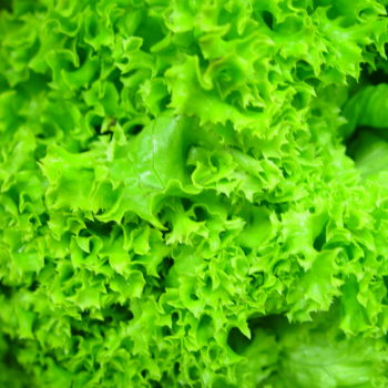 salat-27