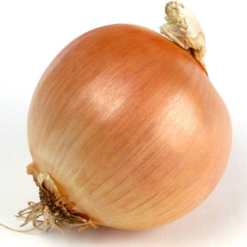 onion1