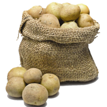 kartoshka