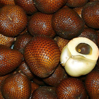 fruits