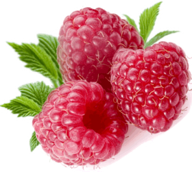 raspberry_PNG5078