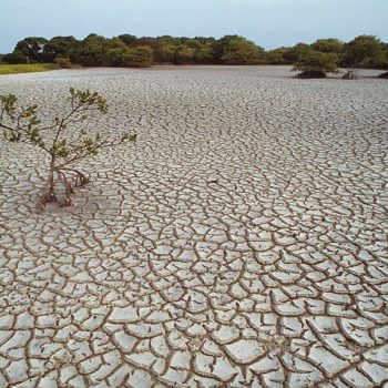 whitecrackedearthdroughtarticle_440875
