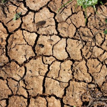 depositphotos_29284083-stock-photo-dry-land-or-cracked-ground-696x464